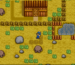 Harvest Moon screenshot 5 for Super Nintendo
